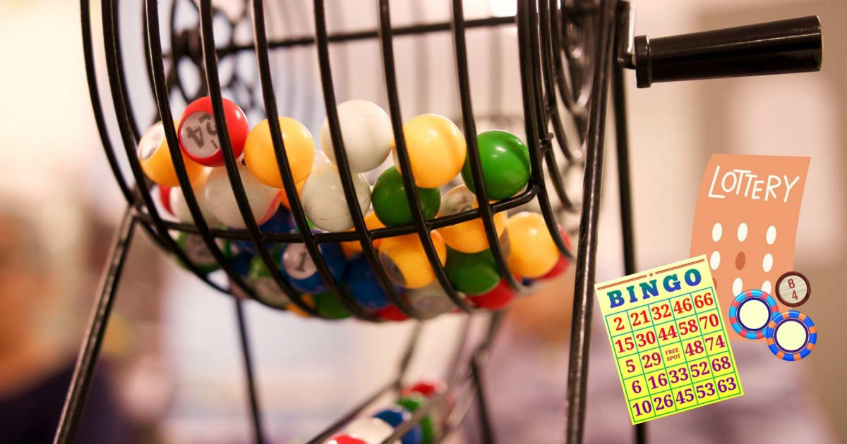 Expert Opinions on Bingo vs. Lotteries