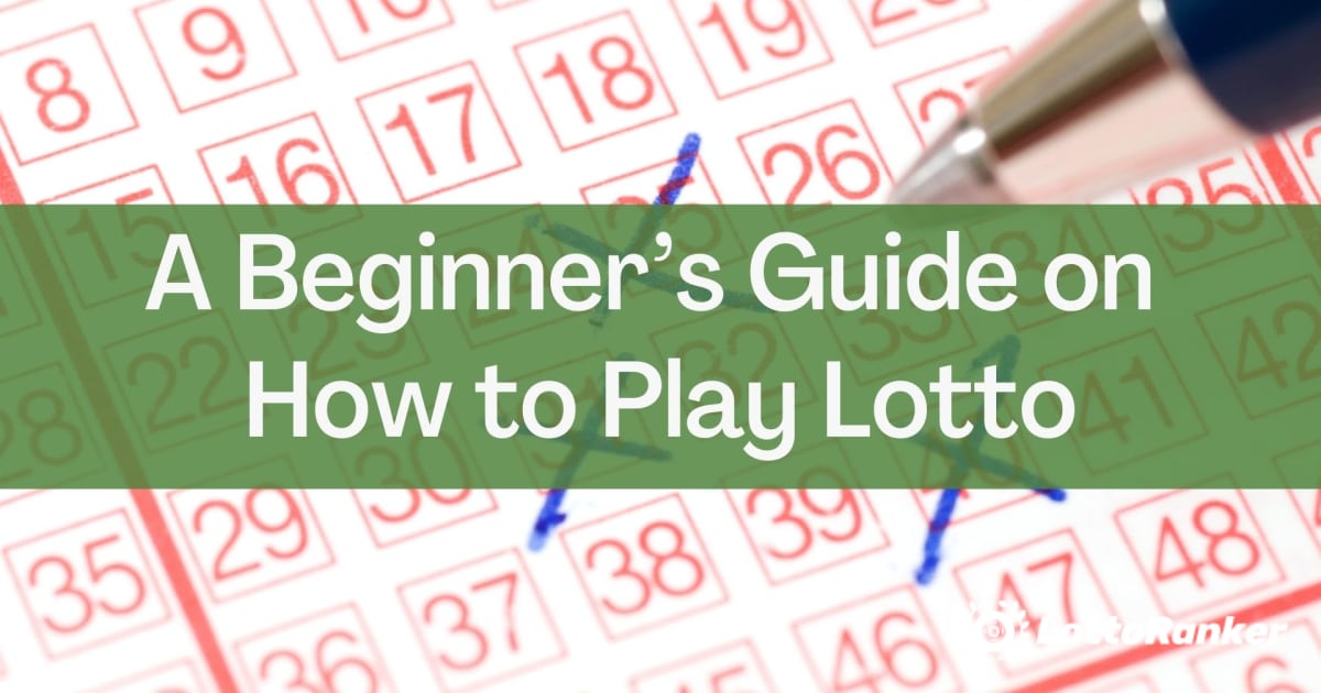 A Beginner’s Guide on How to Play Lotto